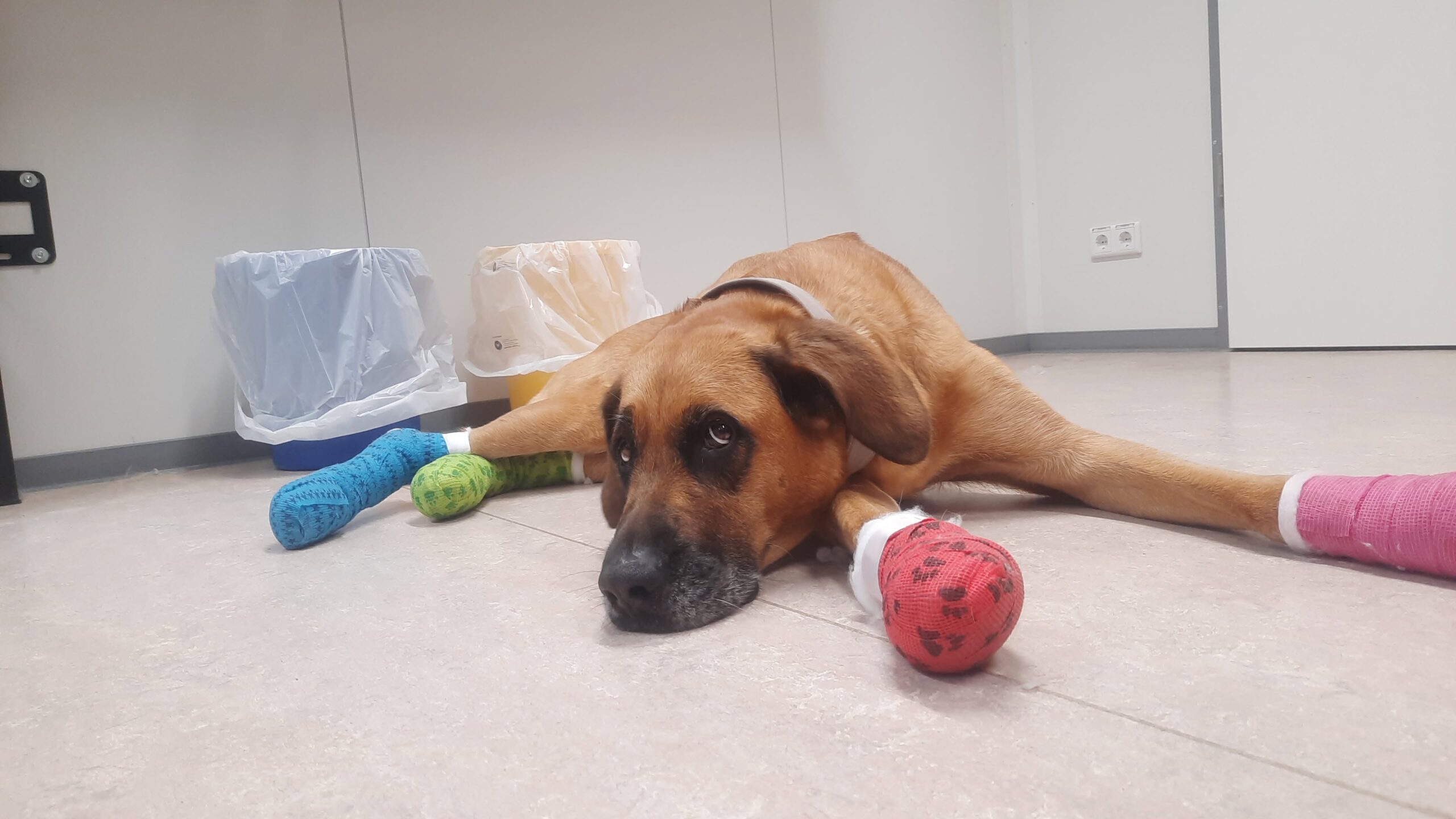 Ruby besucht das OSZ